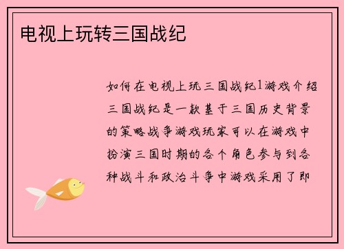电视上玩转三国战纪